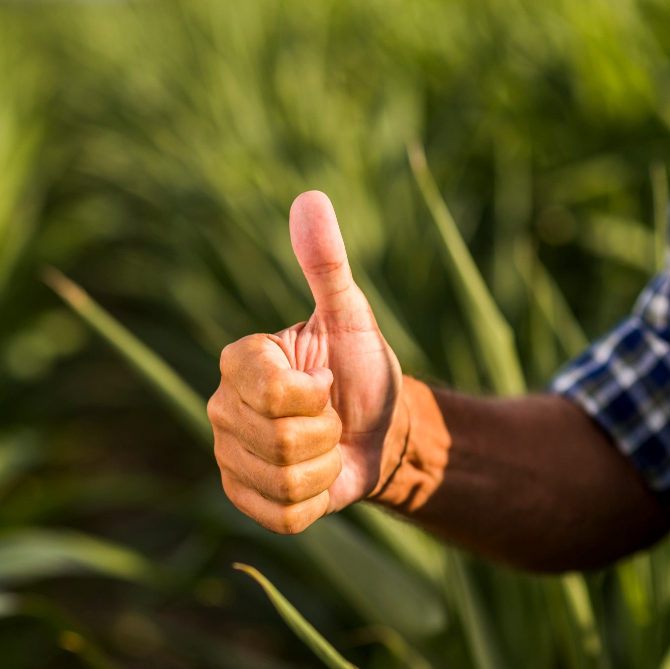 close-view-thumb-up-man-field