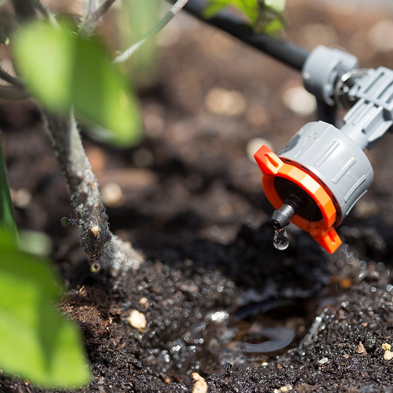 micro-drip-watering-time